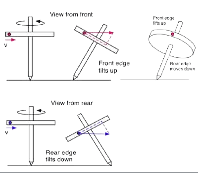 Spinning Top (diagram b)
